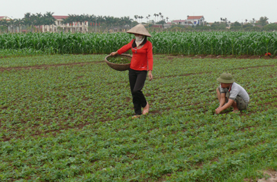 Đổi thay ở một xã anh hùng